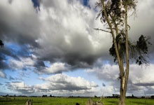 新加坡壁球公开赛开战 我国首次有四名选手参赛.