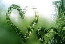 鲸鱼体育官网：英格兰媒体评选英格兰历史传奇阵容：五大家族都有人入选.