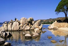 西部第2+防守第1，还有人黑湖人四手连摊？.